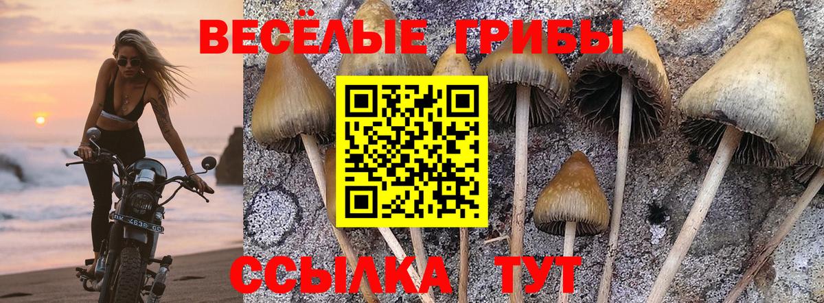 Галлюциногенные грибы Magic Shrooms Грозный