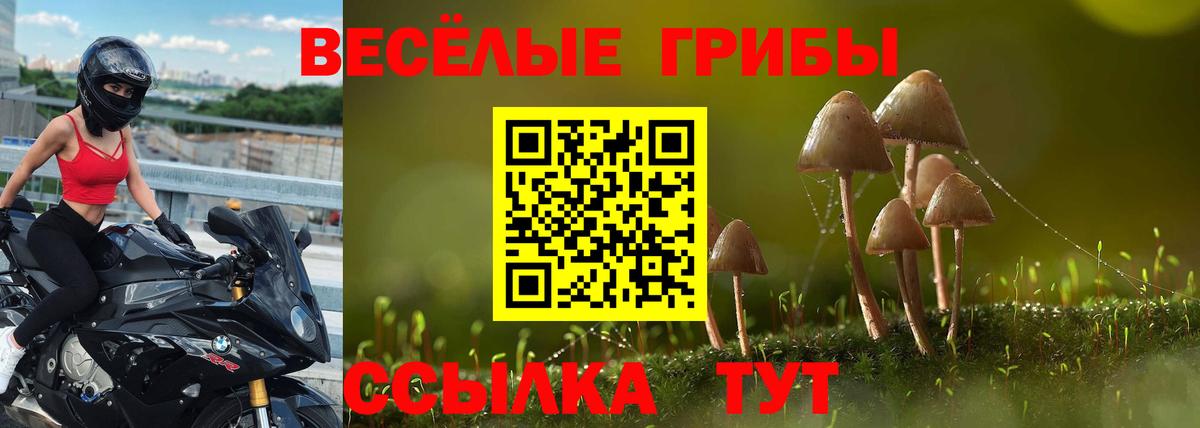 Псилоцибиновые грибы мицелий  Вход с VPN  Грозный 